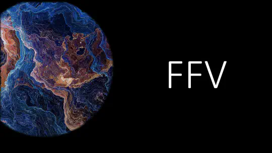 Functional Field of View